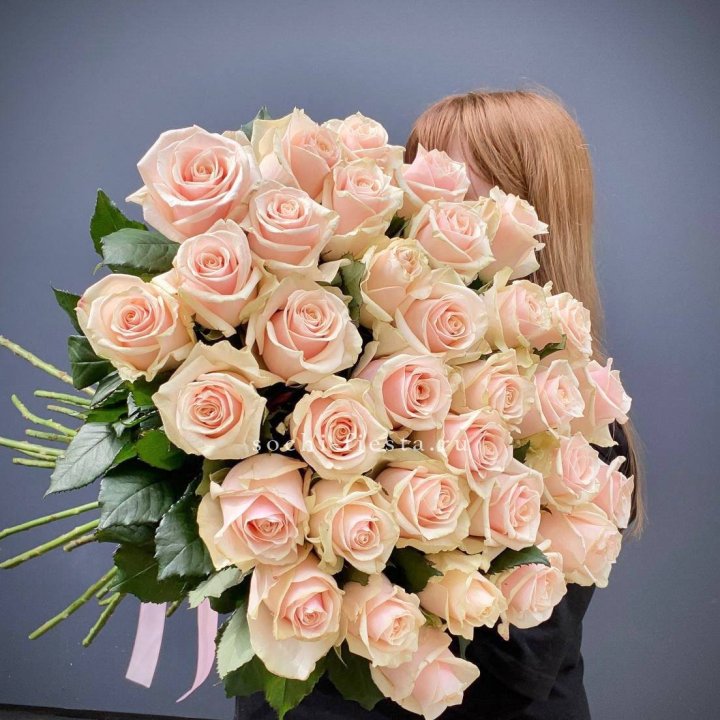 35 кремовых высоких роз в Махачкале