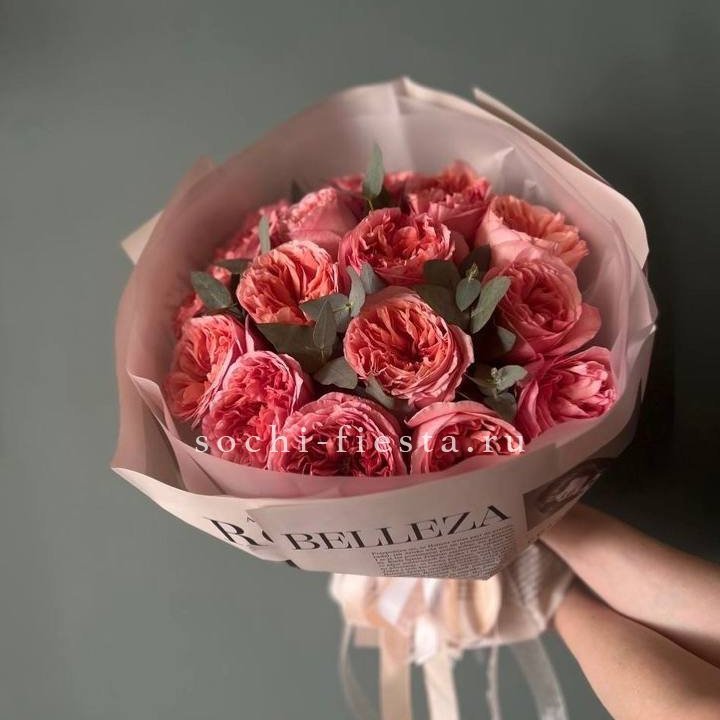 15 Пинк экспрешен в Махачкале