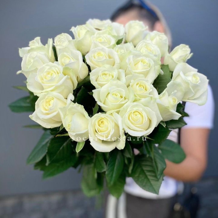 Голландские розы белые 25 в Махачкале