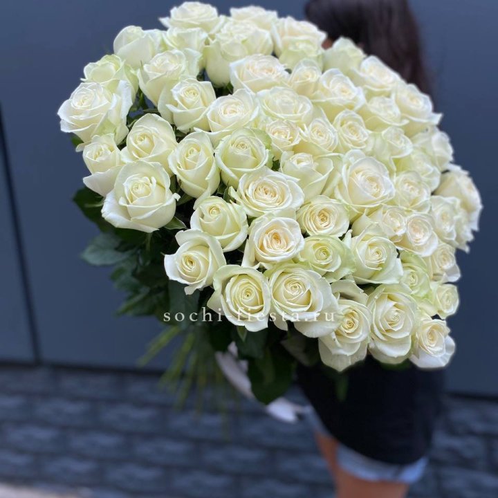 51 белоснежная высокая роза в Махачкале