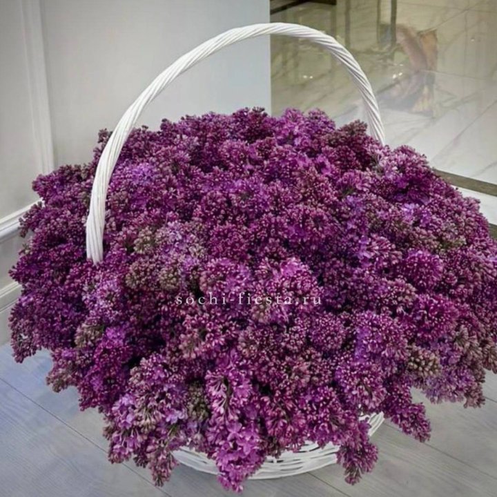 Корзина сирени в Махачкале