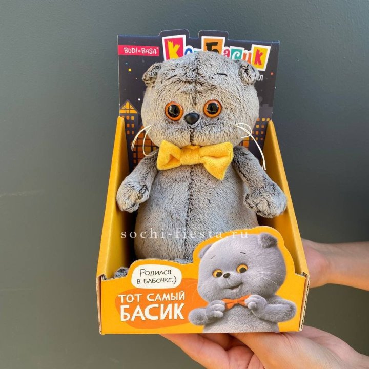 Кот Басик с бабочкой в Махачкале