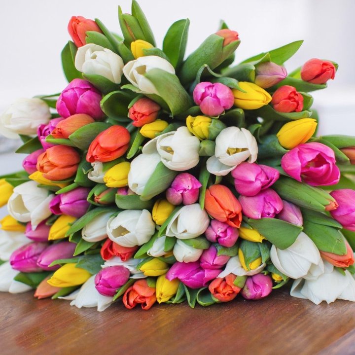 79 тюльпанов "Рандом" в Махачкале