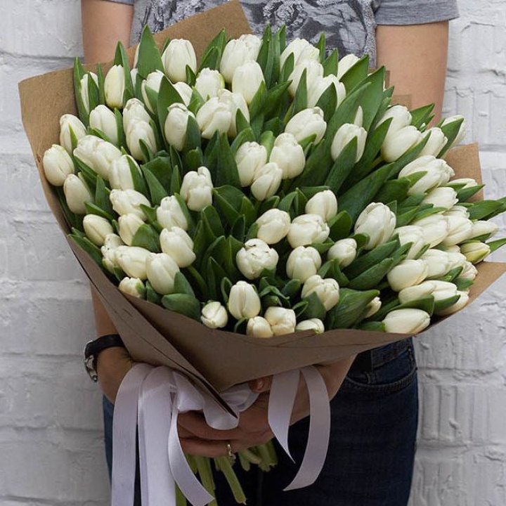 101 тюльпан сноу в Махачкале