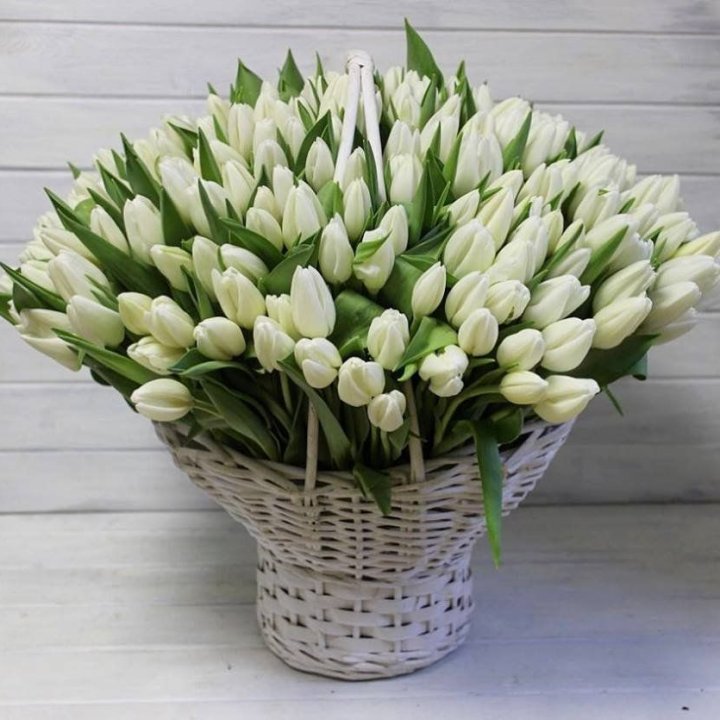 Корзина из 151 тюльпана в Махачкале