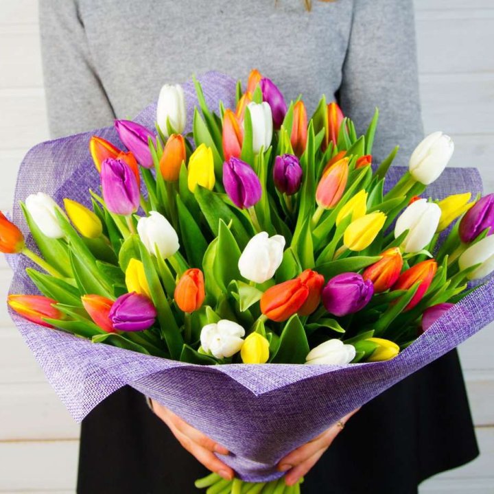 51 тюльпан "Рандом" №2 в Махачкале