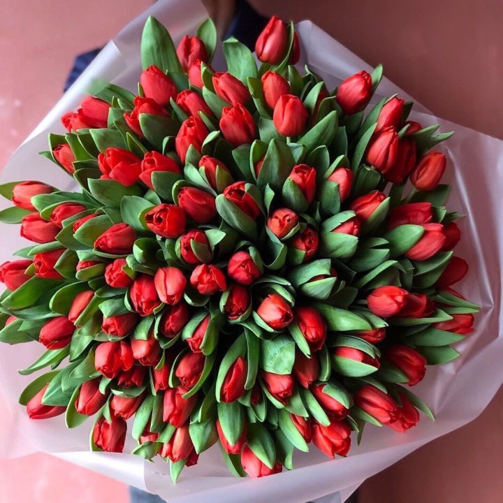 101 красный тюльпан в Махачкале